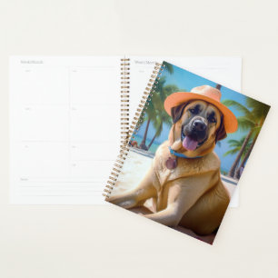 Anatolischer Hirtenhund am Strand, Sommergeschenk  Planer