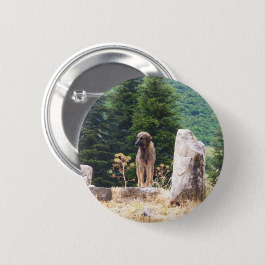 Anatolischer Schäfer-Hund - Ephesus, die Türkei Button (Vorne & Hinten)