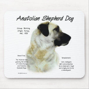 Anatolischer Schäfer-Hundegeschichtsentwurf Mousepad