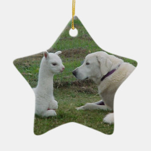 Anatolischer Schäfer und Alpaka Cria Keramikornament