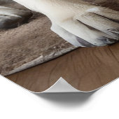 Anatolischer Schäferhund am Feuerplatz Weihnachten Poster (Ecke)