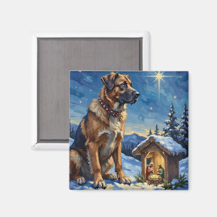 Anatolischer Schäferhund bewacht Weihnachtskrippe Magnet