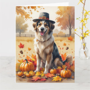 Anatolischer Schäferhund im Herbst verlässt Ernted Karte