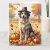 Anatolischer Schäferhund im Herbst verlässt Ernted Karte (Vorderseite)