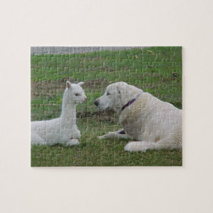 Anatolischer Schäferhund und Alpaca Cria Puzzle