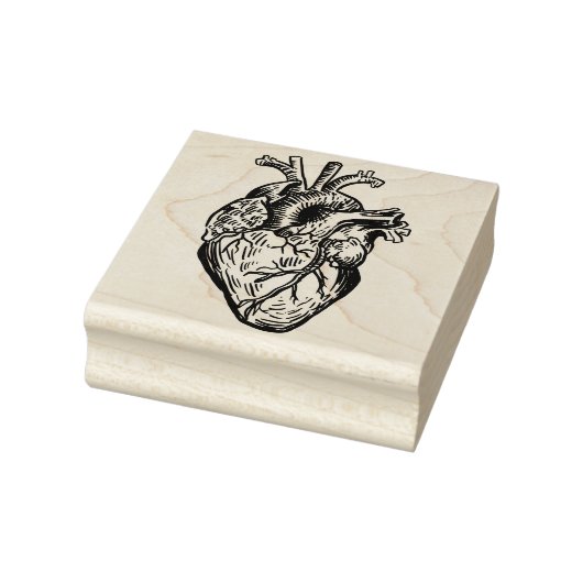 Anatomical Heart Gummistempel (Stempel)