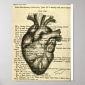anatomical heart poster (Vorne)