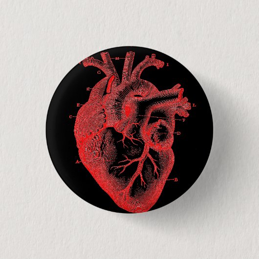 Anatomical Human Heart Red Diagram Button (Vorderseite)