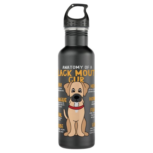 Anatomie Anatomie Anatomie Anatomischer Schwarzer  Edelstahlflasche (Vorderseite)