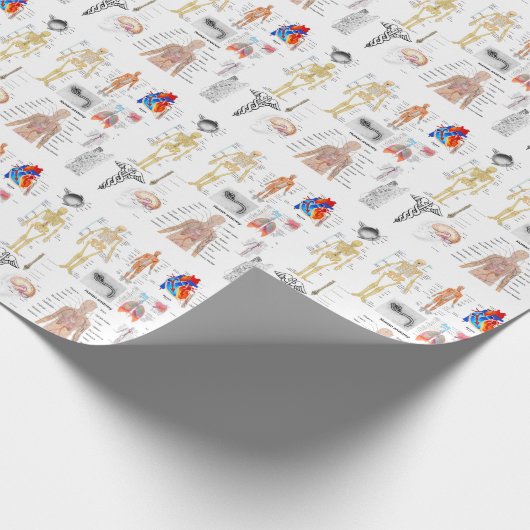 Anatomie Anatomie Medizinische Diagramme voll gefä Geschenkpapier (Ecke)