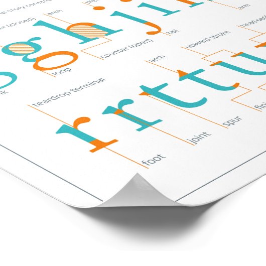 Anatomie-Anleitung Poster (Ecke)