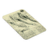 Anatomie Arm und Schulter von Leonardo da Vinci Magnet (Rechte Seite)