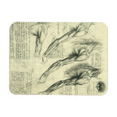 Anatomie Arm und Schulter von Leonardo da Vinci Magnet (Horizontal)
