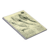 Anatomie Arm und Schulter von Leonardo da Vinci Notizblock (Rechte Seite)