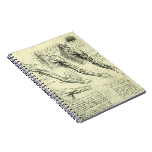 Anatomie Arm und Schulter von Leonardo da Vinci Notizblock (Rechte Seite)