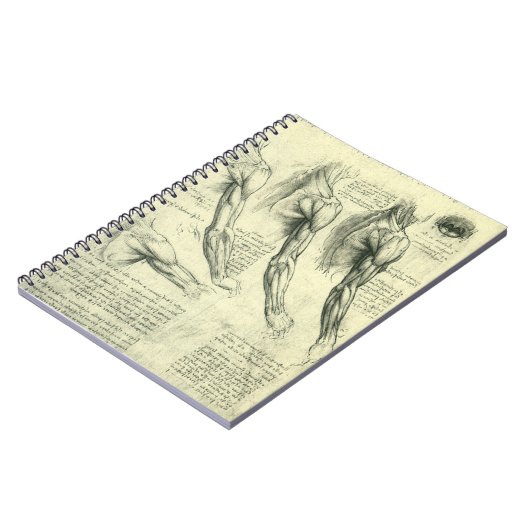 Anatomie Arm und Schulter von Leonardo da Vinci Notizblock (Linke Seite)