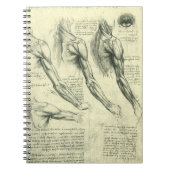 Anatomie Arm und Schulter von Leonardo da Vinci Notizblock (Vorderseite)