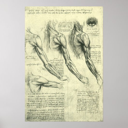 Anatomie Arm und Schulter von Leonardo da Vinci Poster (Vorne)