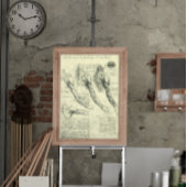 Anatomie Arm und Schulter von Leonardo da Vinci Poster