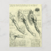 Anatomie Arm und Schulter von Leonardo da Vinci Postkarte (Vorderseite)