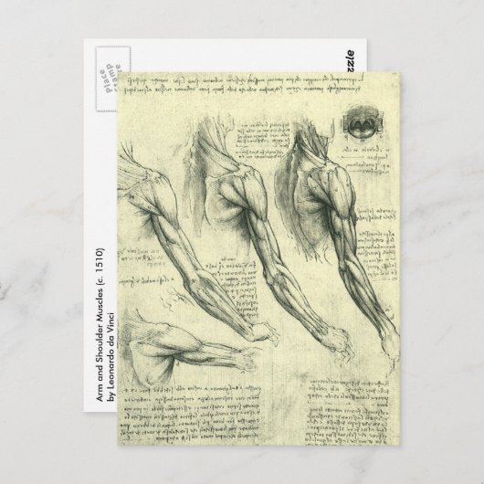 Anatomie Arm und Schulter von Leonardo da Vinci Postkarte (Vorne/Hinten)