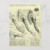 Anatomie Arm und Schulter von Leonardo da Vinci Postkarte (Vorderseite)
