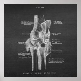 Anatomie Art Nr. 5 Knie Joint Poster