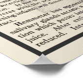 Anatomie-Art-Print #8 Medizinische Dekoration (Ecke)