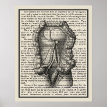 Anatomie-Art-Print #8 Medizinische Dekoration
