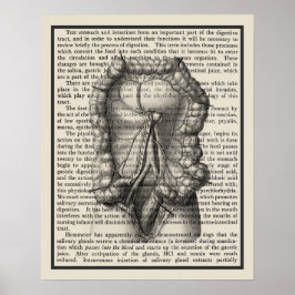 Anatomie-Art-Print #8 Medizinische Dekoration