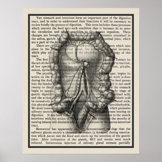 Anatomie-Art-Print #8 Medizinische Dekoration (Vorne)
