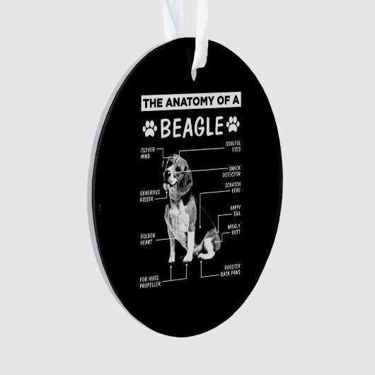 Anatomie Beagle Hund Ornament (Vorderseite)