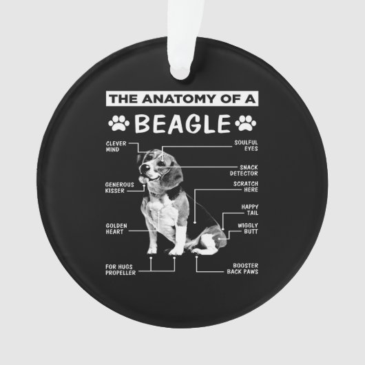 Anatomie Beagle Hund Ornament (Vorderseite)