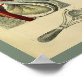 Anatomie der Anatomie der Medizin Art Print Poster (Ecke)