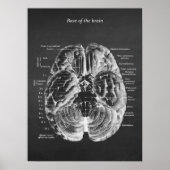 Anatomie der Base of the Brain Print No.1 Poster (Vorne)