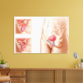 Anatomie der Blasenaufhängung Leinwanddruck (Insitu (Wohnzimmer))