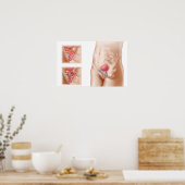 Anatomie der Blasenaufhängung Poster (Küche)