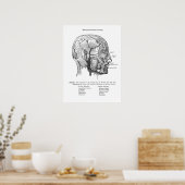 Anatomie der Blutgefäße des Menschen Poster (Küche)