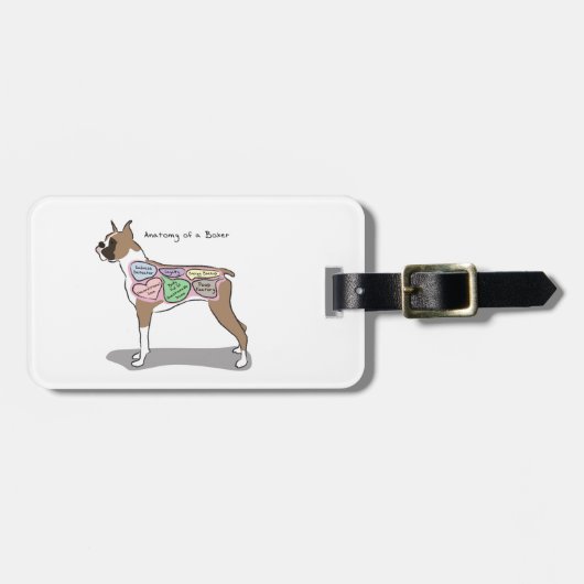 Anatomie der Boxer-Hundegeschenke Gepäckanhänger (Vorderseite horizontal)