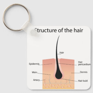 Anatomie der Fußknochen Schlüsselanhänger