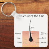 Anatomie der Fußknochen Schlüsselanhänger (Vorderseite)