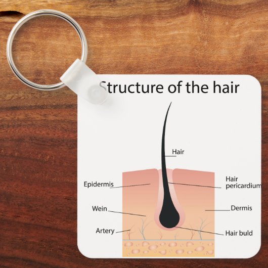 Anatomie der Fußknochen Schlüsselanhänger (Vorderseite)