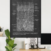 Anatomie der Geschenke des Hautdermatologen Poster (Heimbüro)