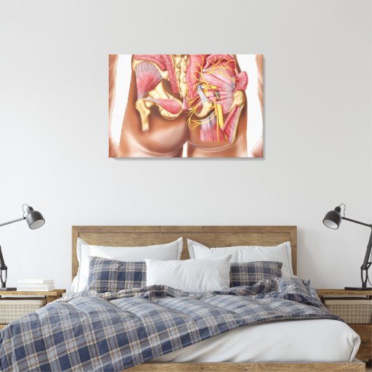 Anatomie der Glutealmuskeln in den Knöcheln Leinwanddruck (Insitu (Schlafzimmer))