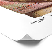 Anatomie der großen Hoden Poster (Ecke)