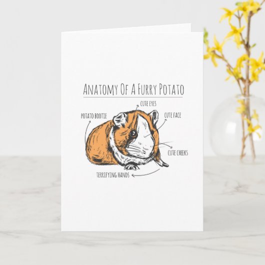 Anatomie der Guinea Karte (Gelbe Blume)