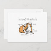 Anatomie der Guinea Postkarte (Vorne/Hinten)