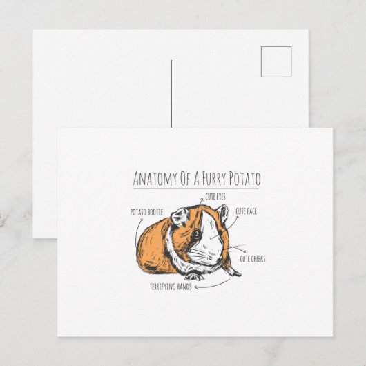 Anatomie der Guinea Postkarte (Vorne/Hinten)