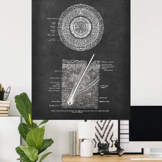 Anatomie der Haare Poster (Heimbüro)