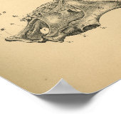 Anatomie der Halswirbelsäule 1908 Vintag Poster (Ecke)